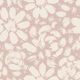 Coastal Pink Daisy Rose Blooms