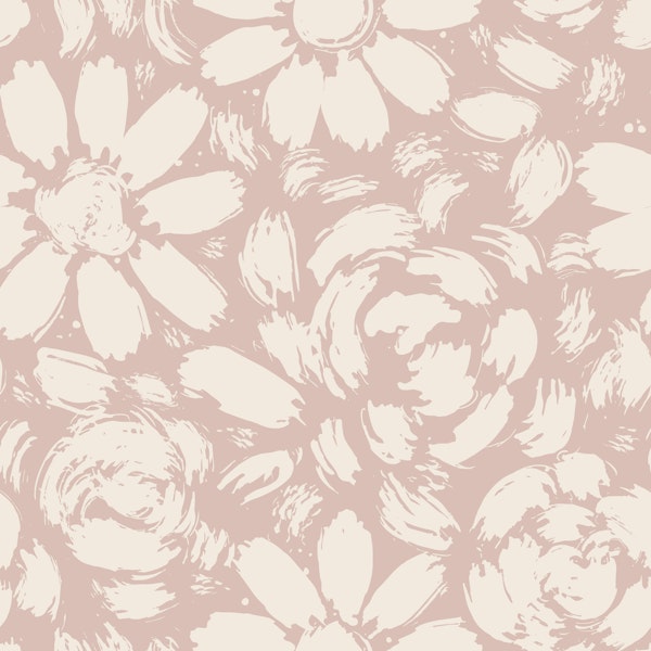 Coastal Pink Daisy Rose Blooms