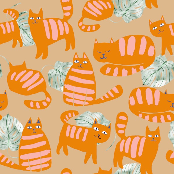 Whimsicat Light