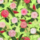 Camelia 01