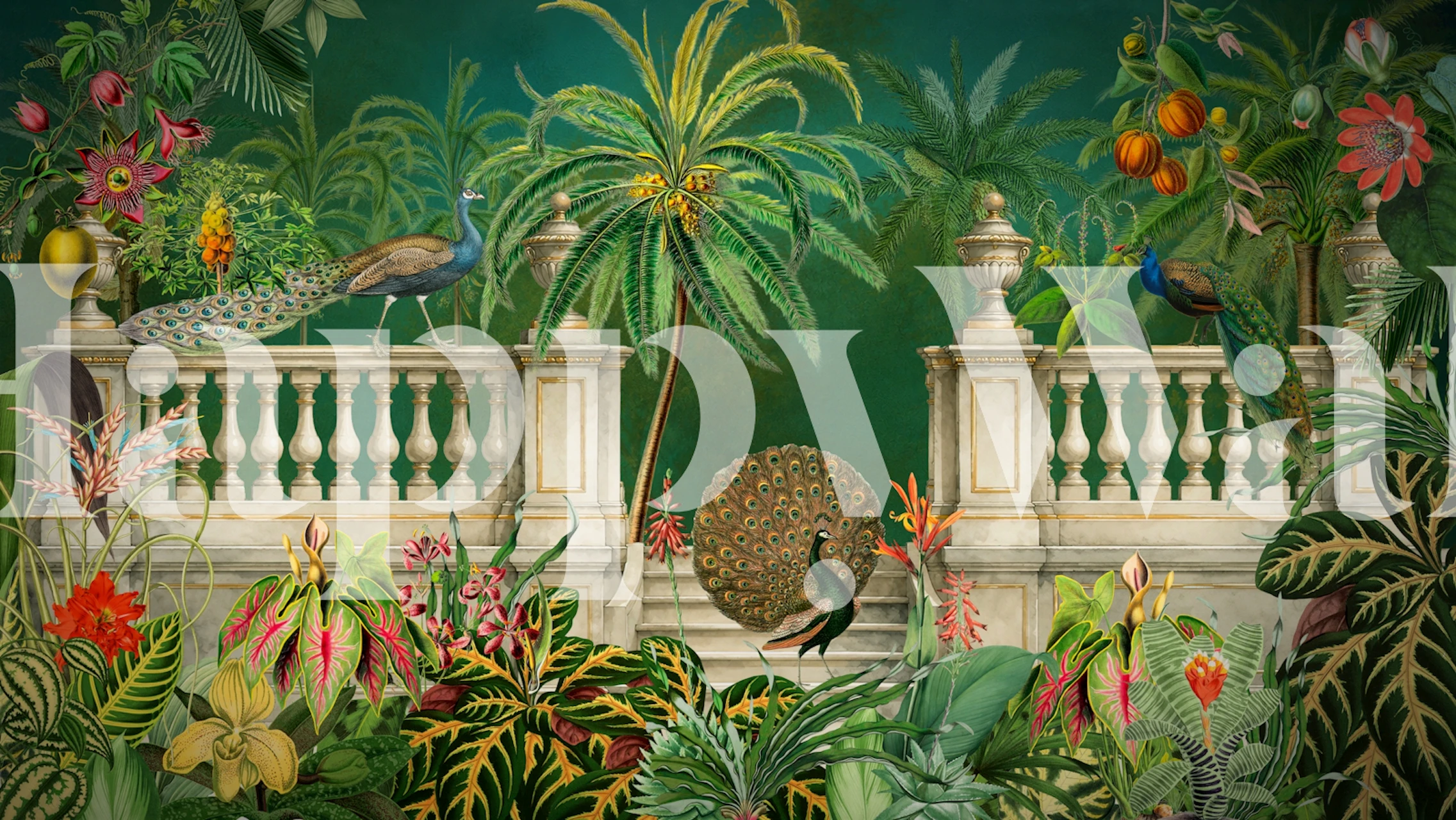 Peacock tropical garden wallpaper in a room