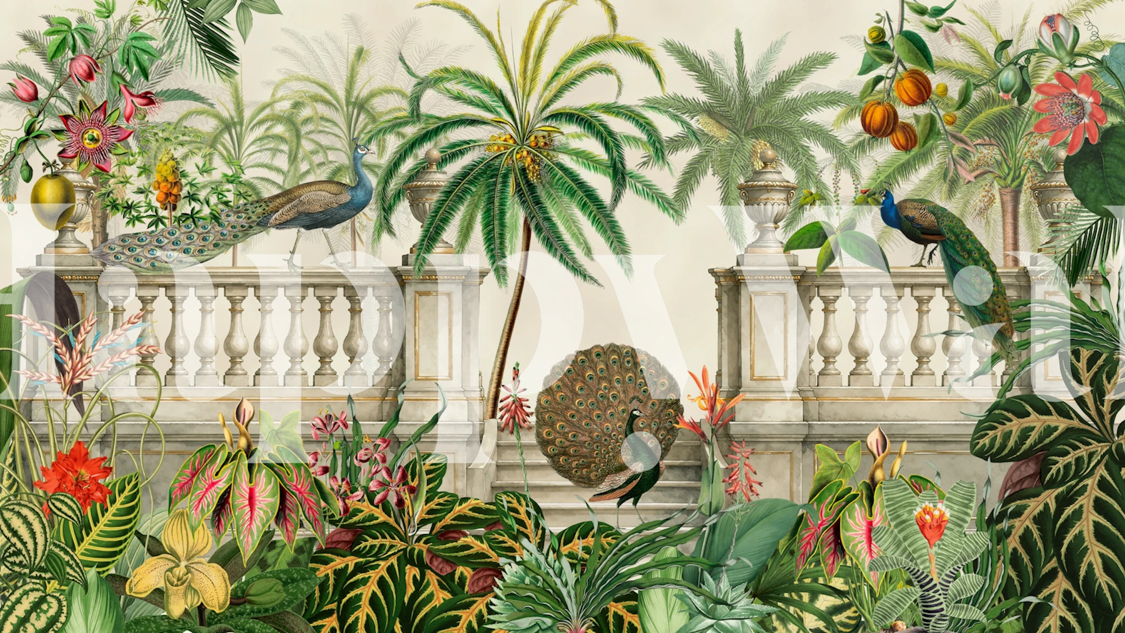 Tropical peacock garden wallpaper in a room