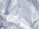 Misty Blue Tropical Leaves