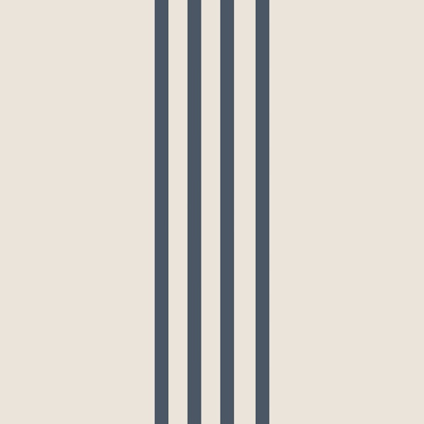 Minimal Navy Coastal Stripes on Offwhite