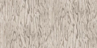 Weathered Ash Wood Plank Look papel pintado