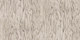 Weathered Ash Wood Plank Look