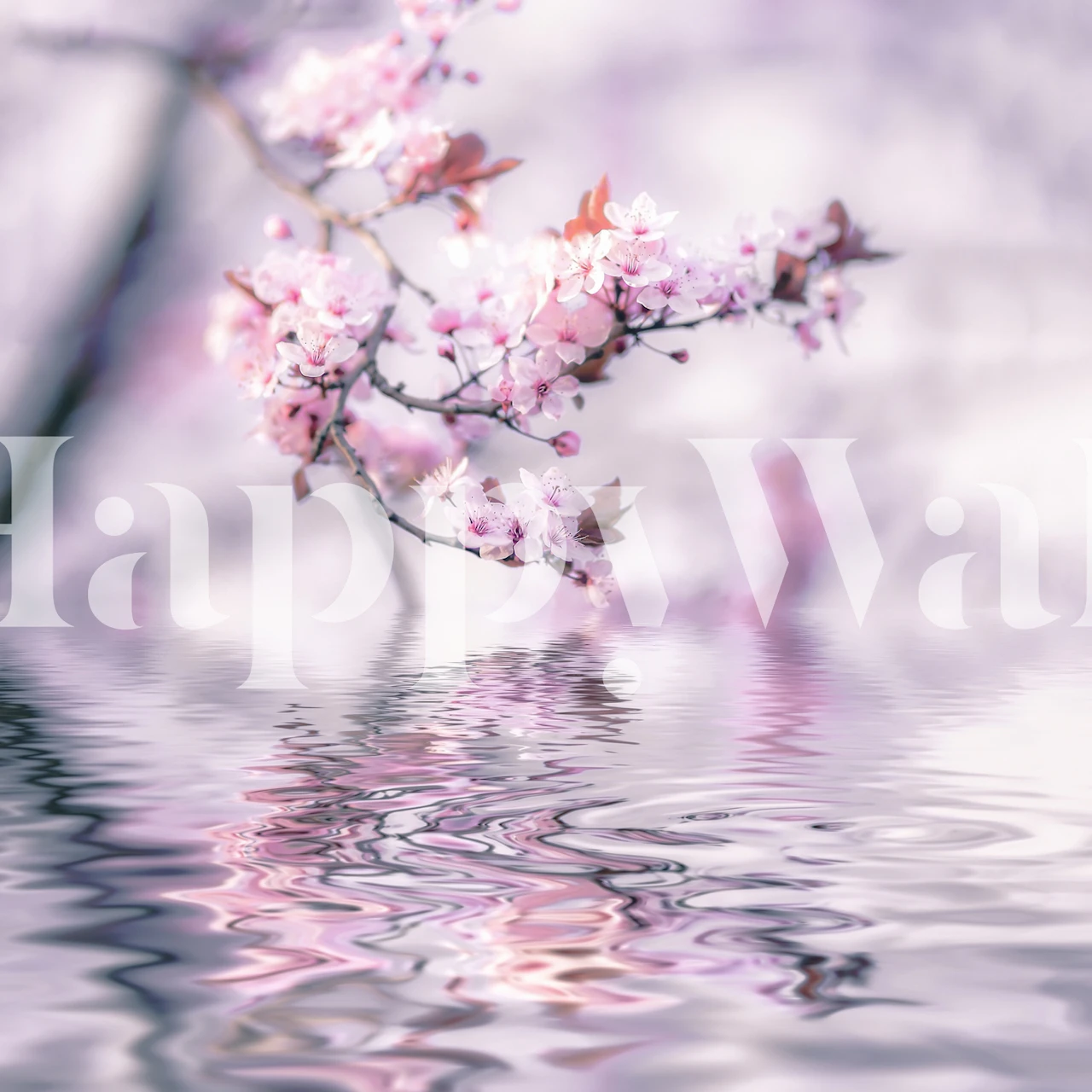 Pink cherry blossoms reflected on water wallpaper