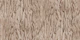 Natural Oak Woodgrain