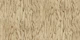 Warm Oak Wood Grain
