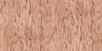 Warm Walnut Wood Grain papel pintado