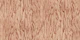 Warm Walnut Wood Grain