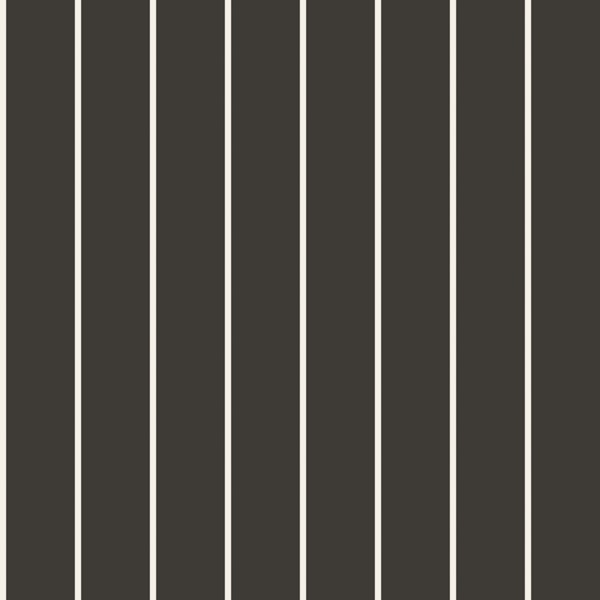 Charcoal Ivory Vertical Stripes