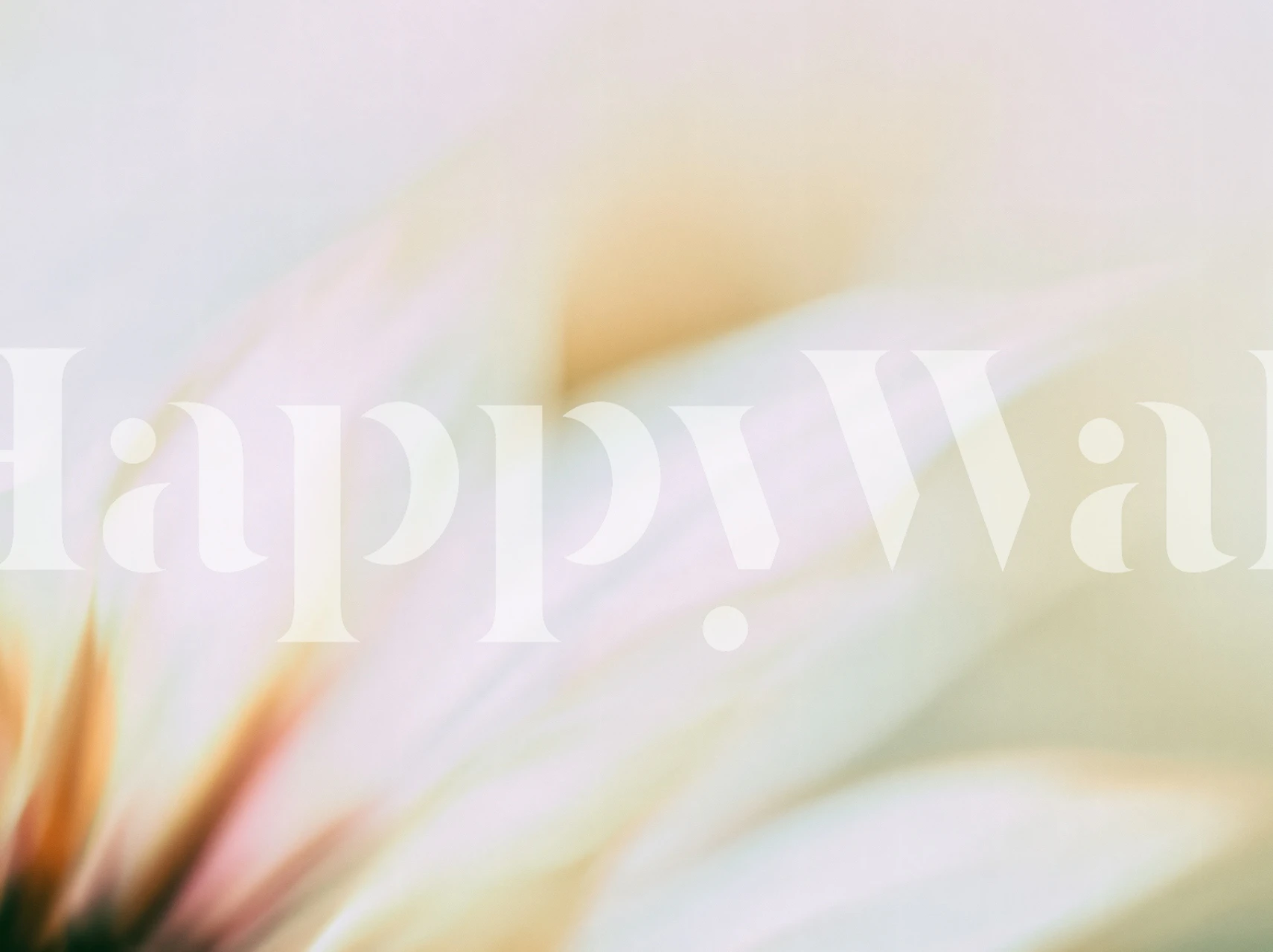 Blurred blush flower wallpaper in a soft room