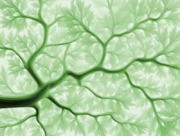 Green Tree Branch Canopy carta da parati