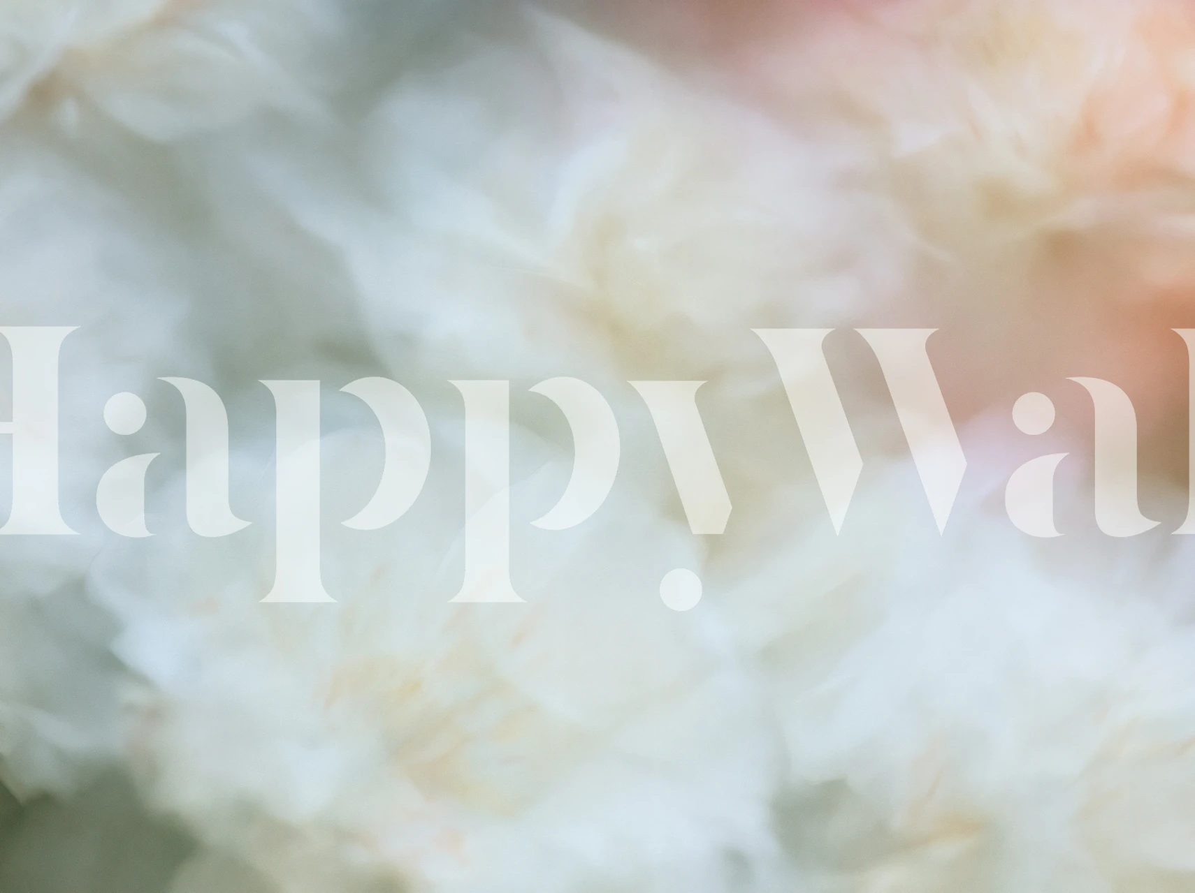 Soft focus white blossom wallpaper in a room