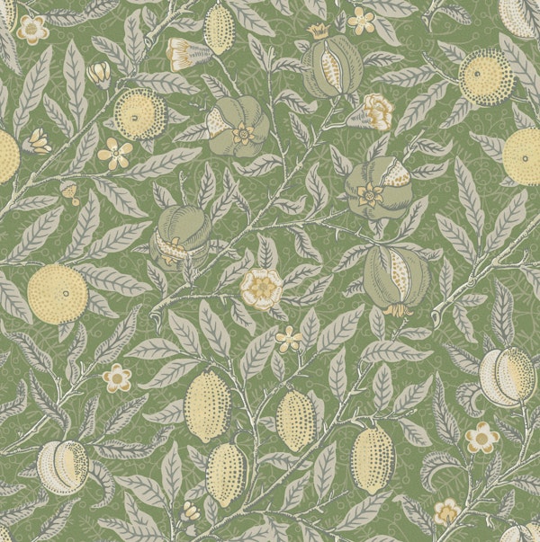 Fruit in Kiwi - Arts & Crafts