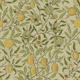 Fruit in Limelight - Arts and Crafts