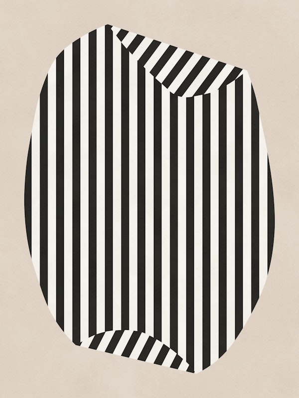 Monochrome Stripe Illusion Cube