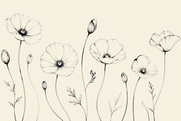 Minimal Poppy Line Art