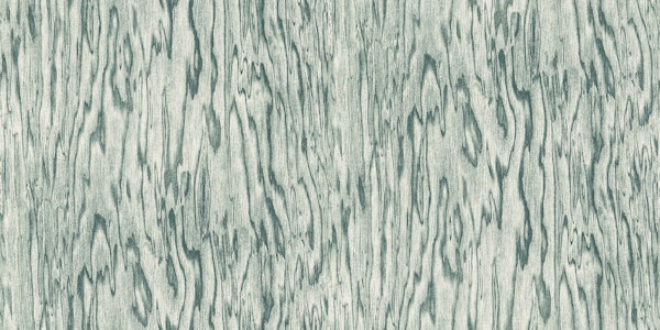 Seafoam Wood Grain Texture