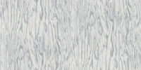 Misty Gray Wood Texture behang