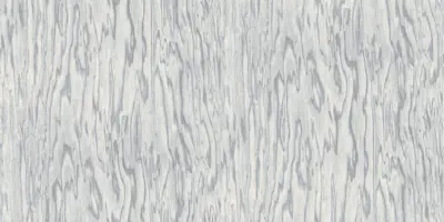 Modello