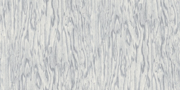 Misty Gray Wood Texture