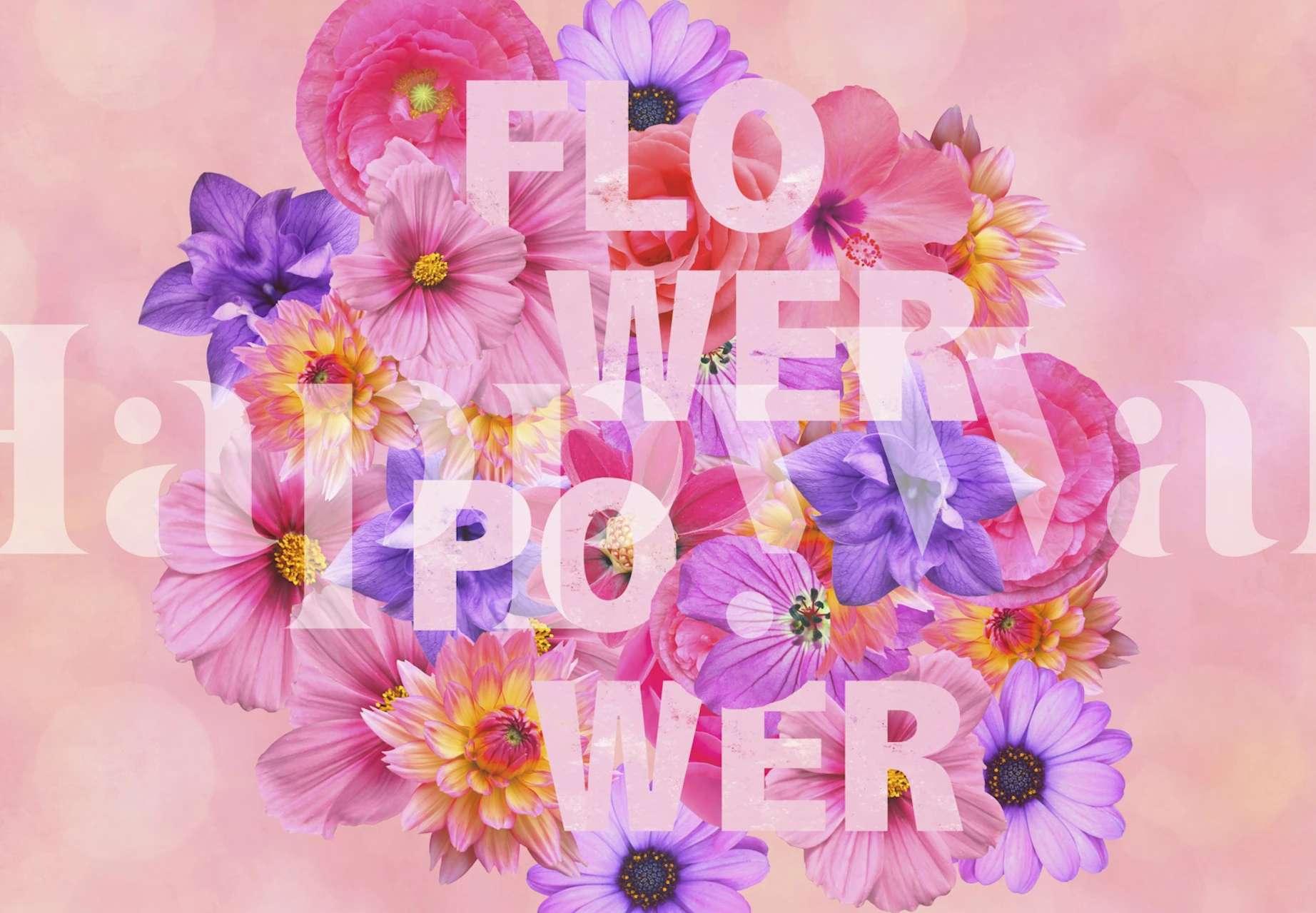 Flower Power Inspiration wallpaper