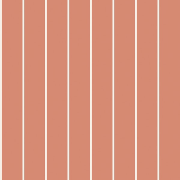 Earthy Coral Stripe Clean