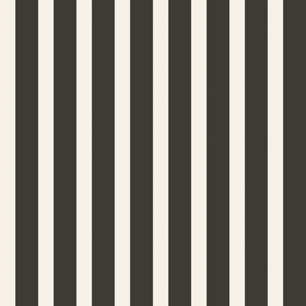 Modern Charcoal Cream Stripes