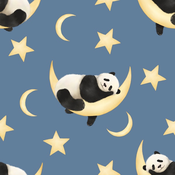 Whimsical Panda Night Sky