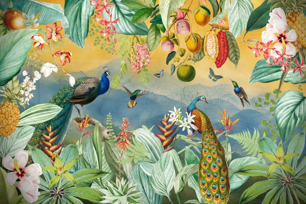 Tropical Peacock Garden