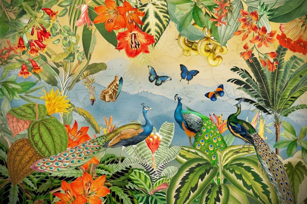 Exotic Gold Jungle Peacocks