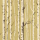 Rustic Birch Bark Woodland
