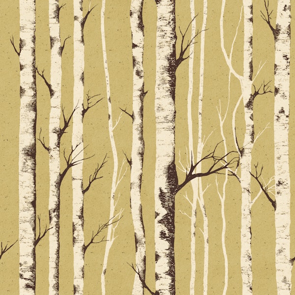 Rustic Birch Bark Woodland