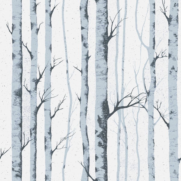 Blue Gray Birch Tree Trunks