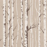 Rustic Birch Bark Texture wallpaper