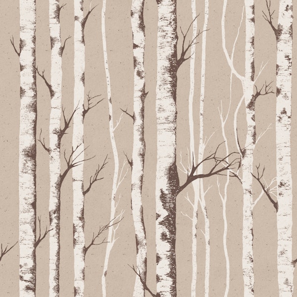 Rustic Birch Bark Texture