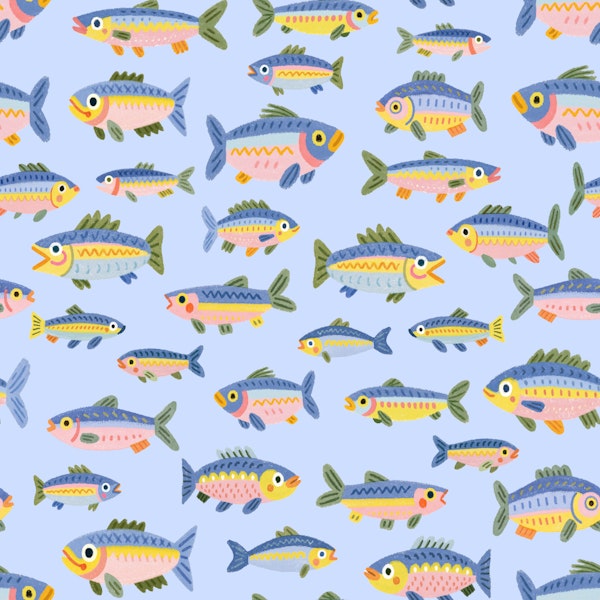 Herring - The Fish