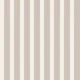 Beige and Cream Stripe Minimal