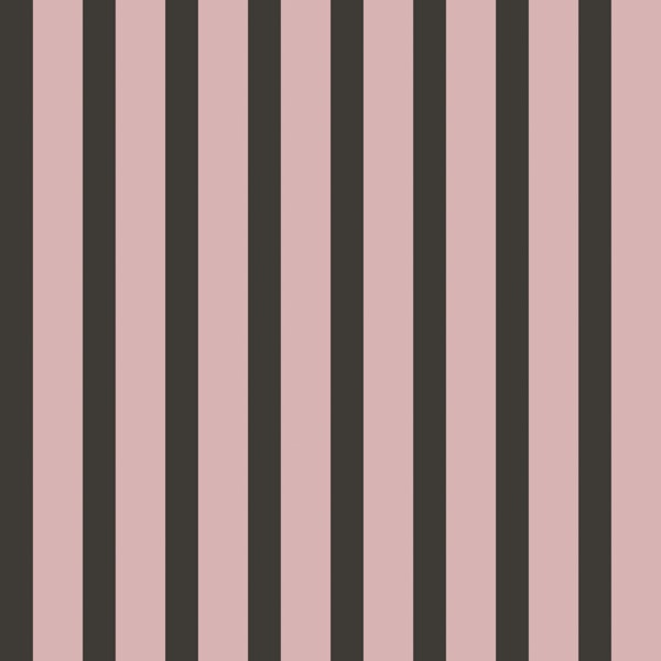 Blush Pink Black Vertical Stripes