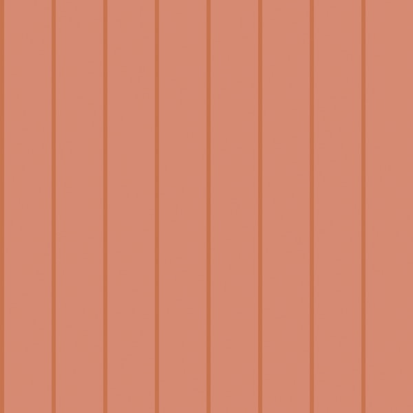 Warm Coral Stripe Minimal