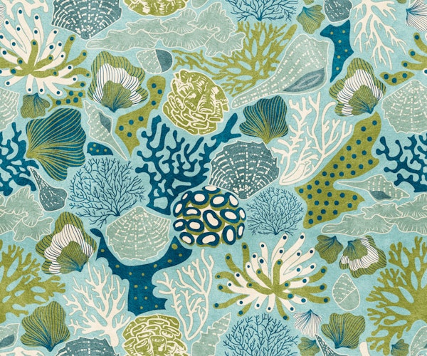 Shell Reef- Misty Turquoise