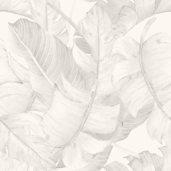 Soft Monochrome Tropical Leaves