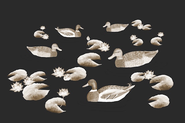 Ducks in lotus pond - black
