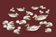 Ducks in lotus pond - burgundy red