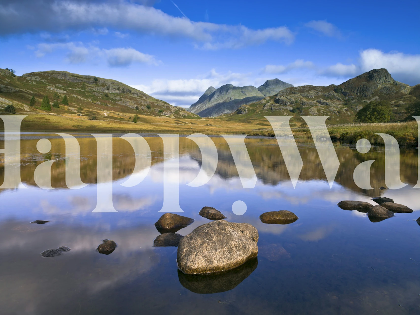 Mountain lake reflection wallpaper in a room