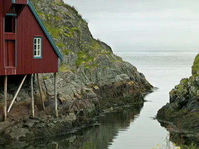 Valokuvatapetti