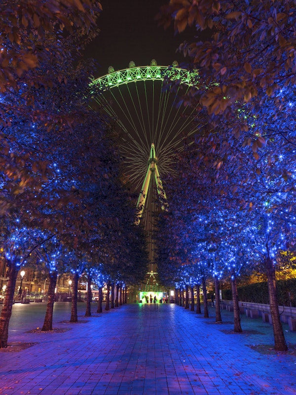 Night Park Walkway Blue Lights
