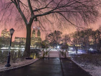 Snowy Park Bridge at Pink Dusk wallpaper